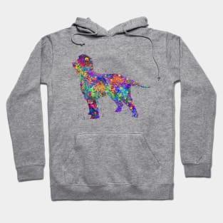 Irish water spaniel dog Hoodie